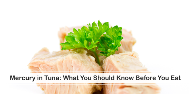 picture of canned tuna